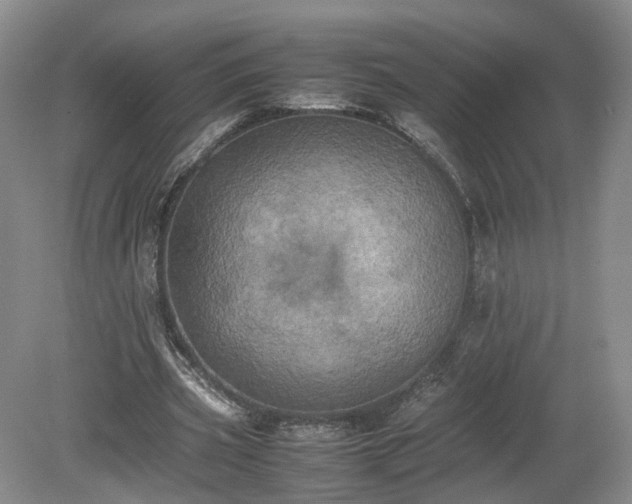 X0000078860533200611201316