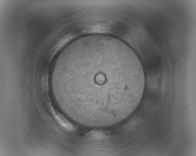 X0000078860534200611201316