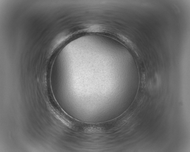 X0000078860535200611201316