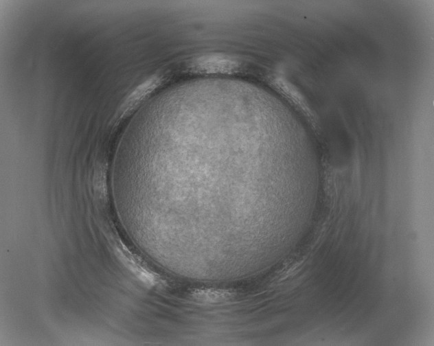 X0000078860537200611201316