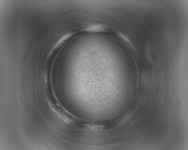 X0000078860539200611201316