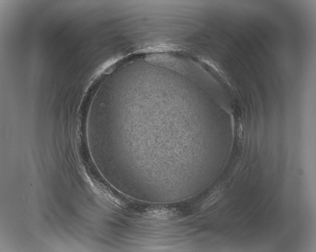 X0000078860540200611201316