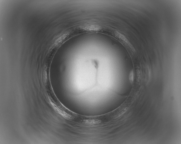 X0000078860541200611201316