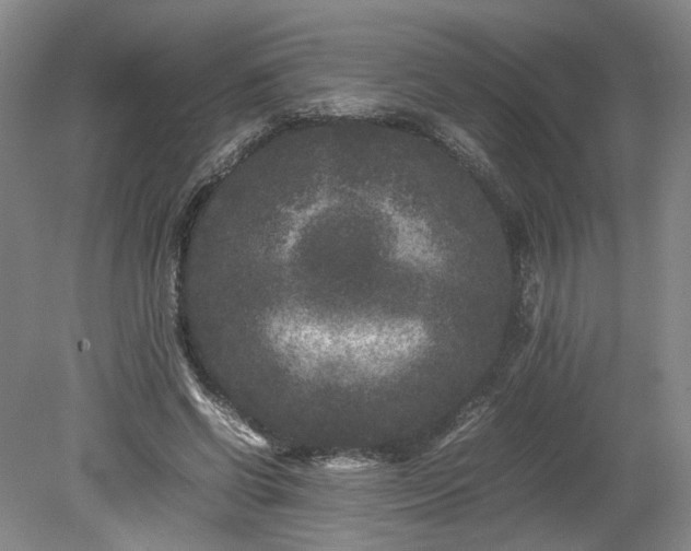 X0000078860542200611201316