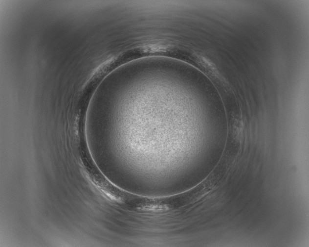 X0000078860543200611201316