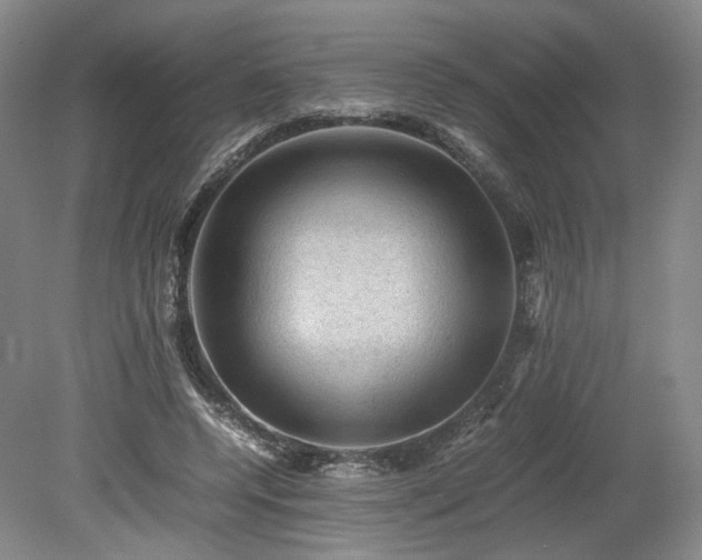 X0000078860544200611201316