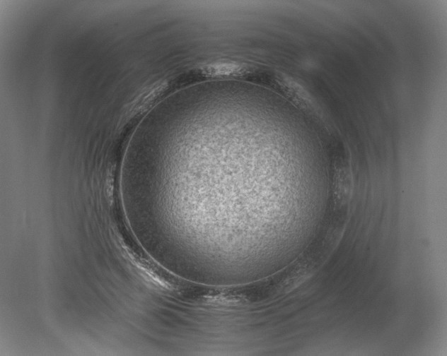 X0000078860545200611201316