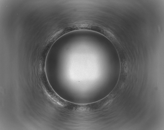 X0000078860546200611201316