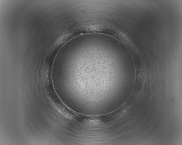 X0000078860548200611201316