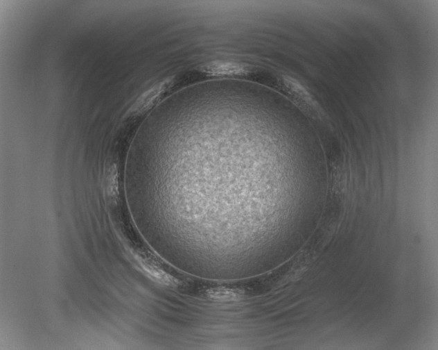 X0000078860549200611201316