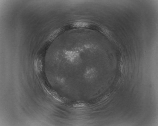 X0000078860551200611201316