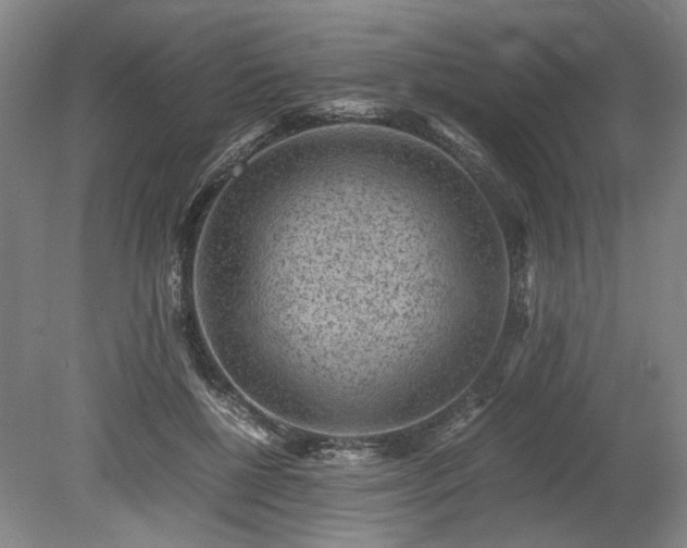 X0000078860552200611201316