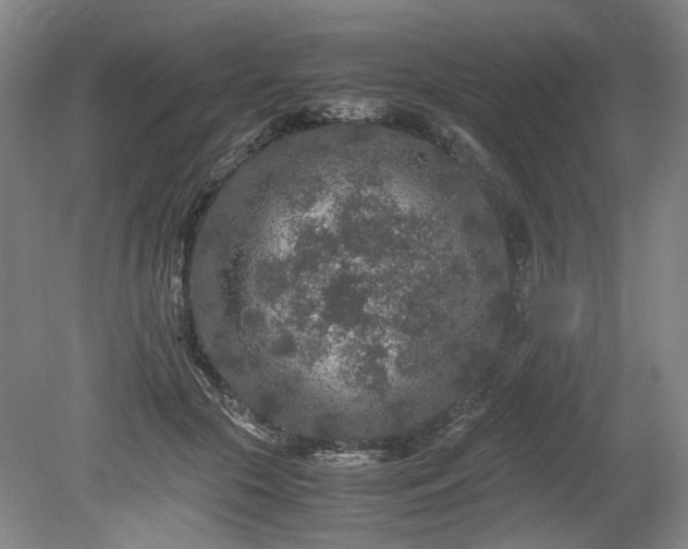 X0000078860553200611201316