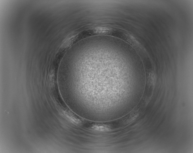 X0000078860557200611201316