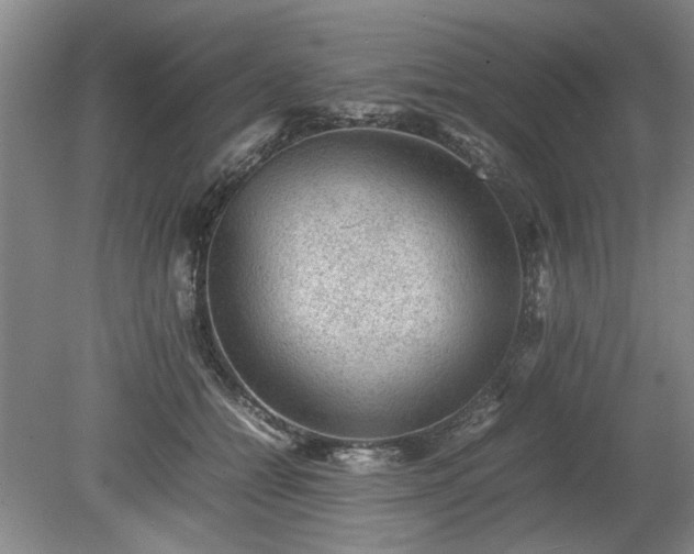 X0000078860558200611201316