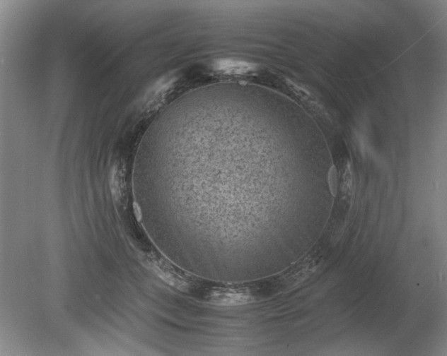 X0000078860559200611201316