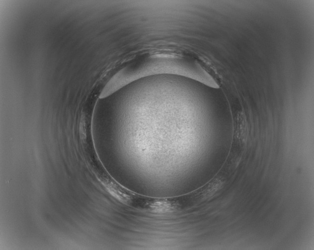 X0000078860562200611201316