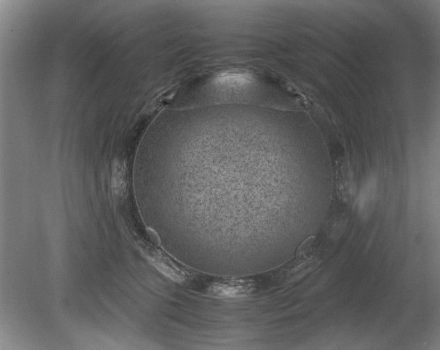 X0000078860563200611201316