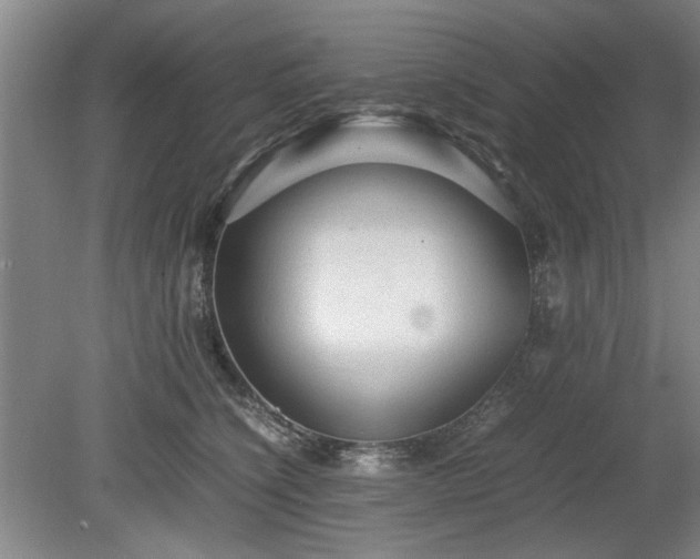 X0000078860564200611201316