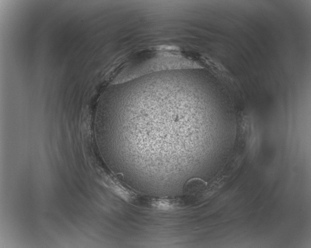 X0000078860565200611201316