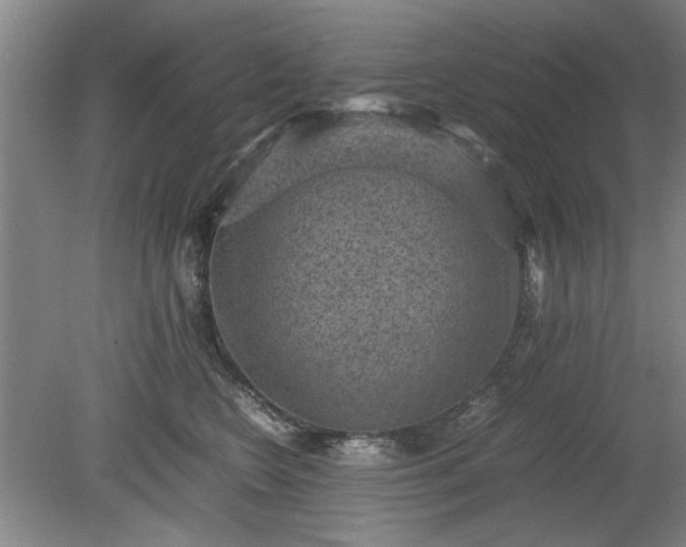 X0000078860566200611201316