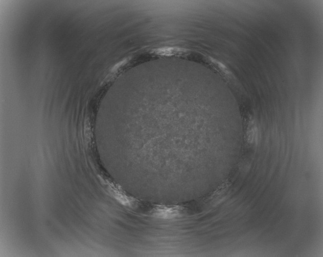 X0000078860569200611201316