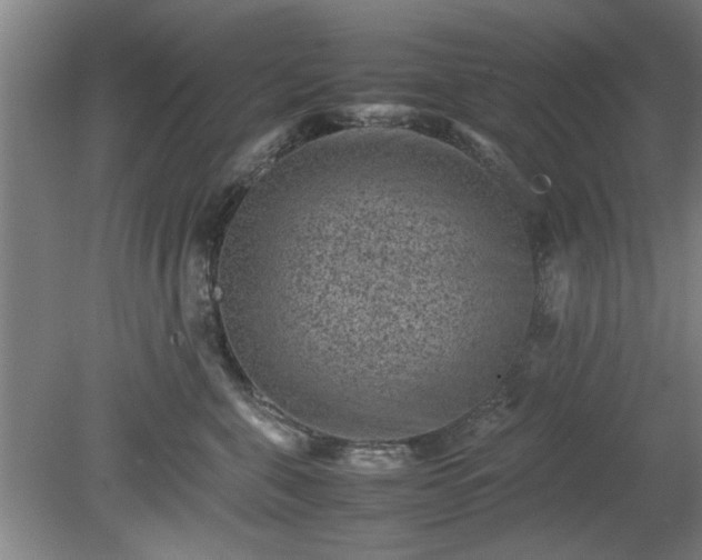 X0000078860571200611201316