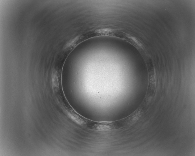 X0000078860572200611201316