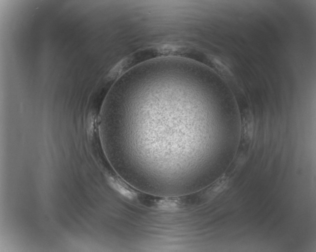 X0000078860574200611201316