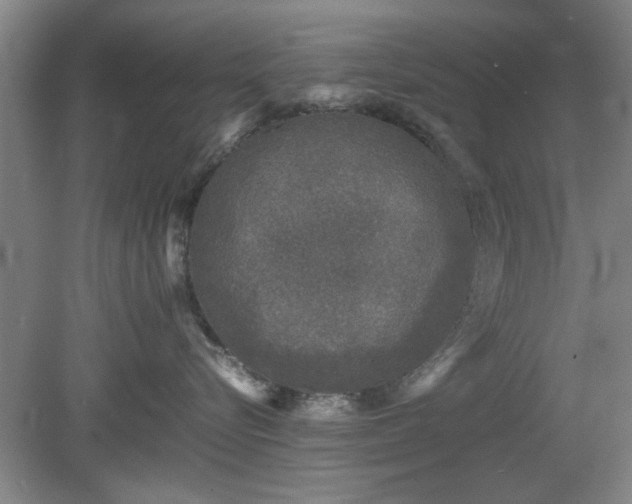 X0000078860576200611201316