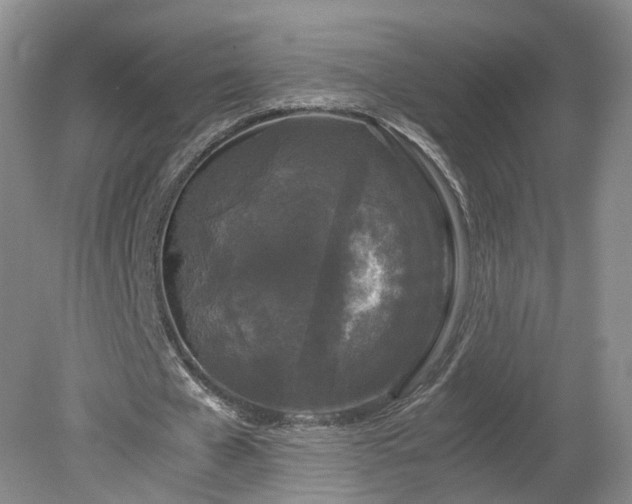 X0000078860577200611201316