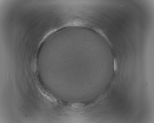 X0000078860579200611201316