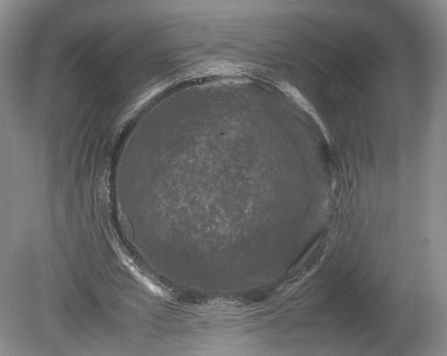 X0000078860581200611201316