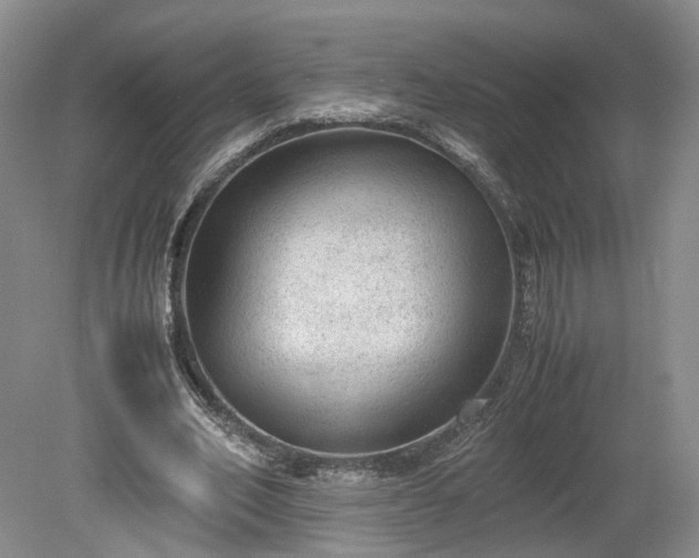 X0000078860582200611201316