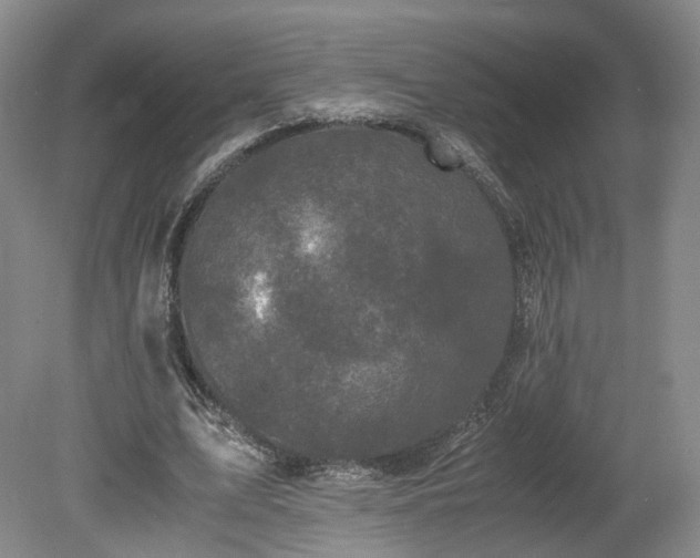 X0000078860583200611201316