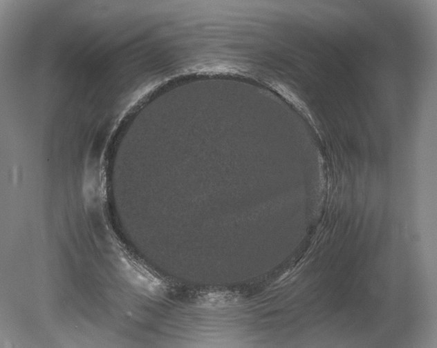 X0000078860584200611201316