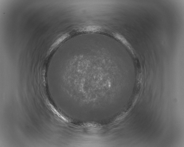 X0000078860585200611201315