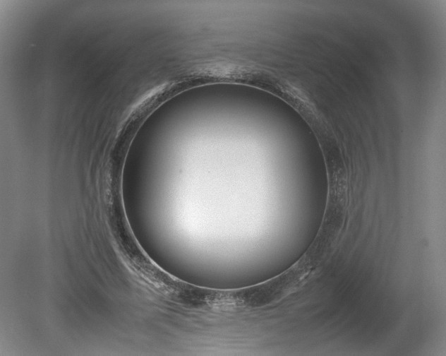 X0000078860587200611201315