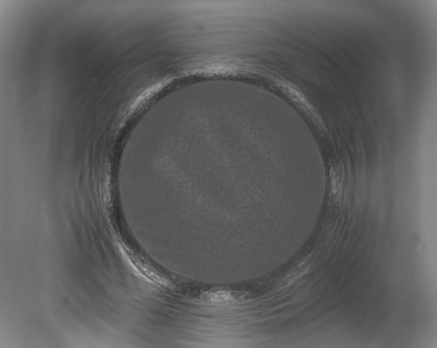 X0000078860588200611201315