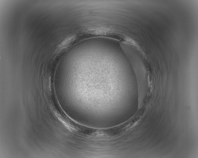 X0000078860589200611201315