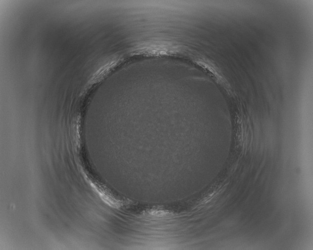 X0000078860590200611201315