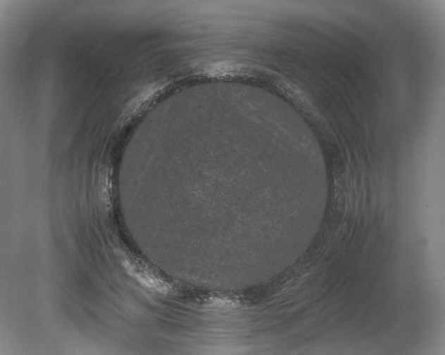 X0000078860592200611201315