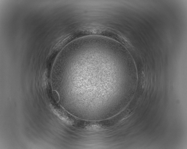 X0000078860594200611201315