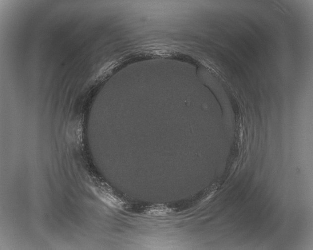 X0000078860595200611201315