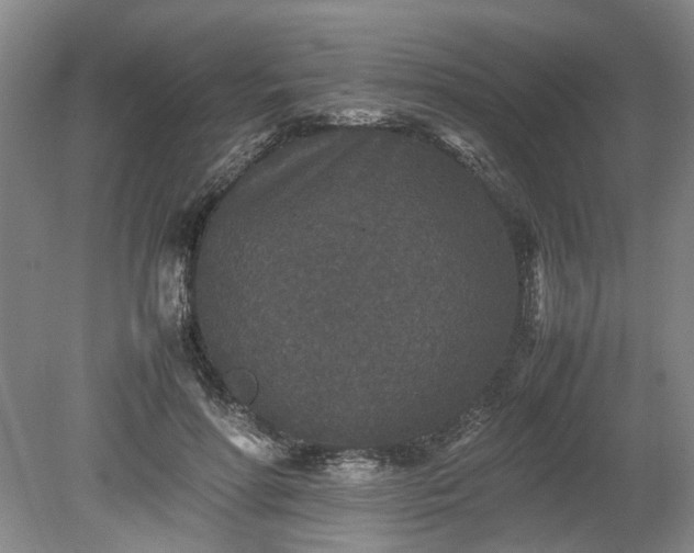 X0000078860598200611201315