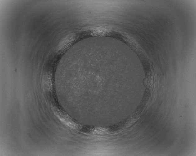 X0000078860599200611201315