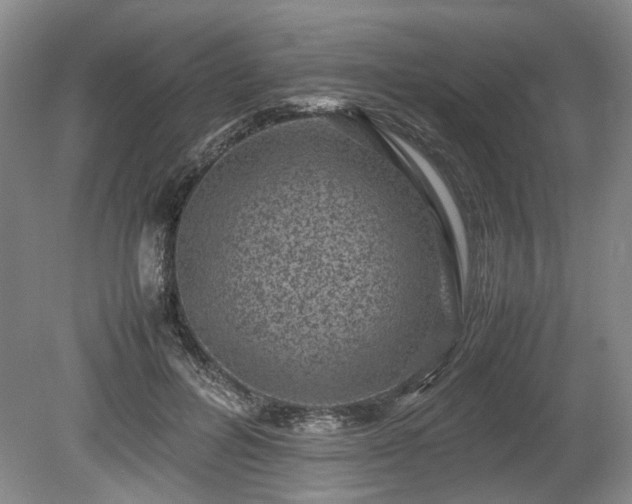 X0000078860600200611201315