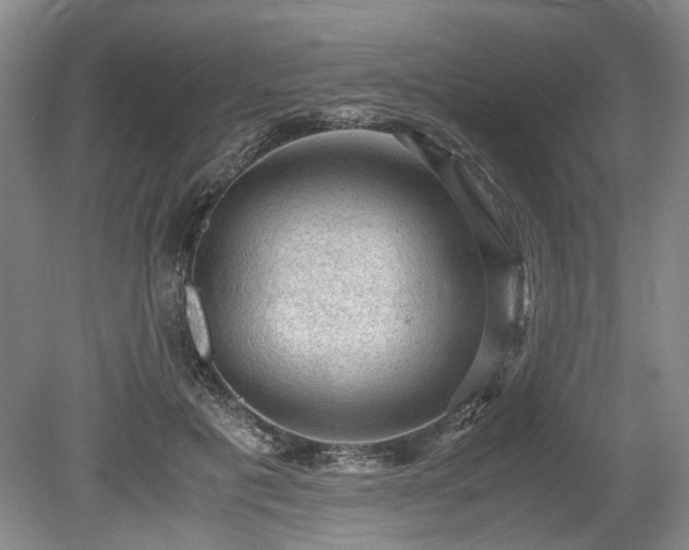 X0000078860601200611201315