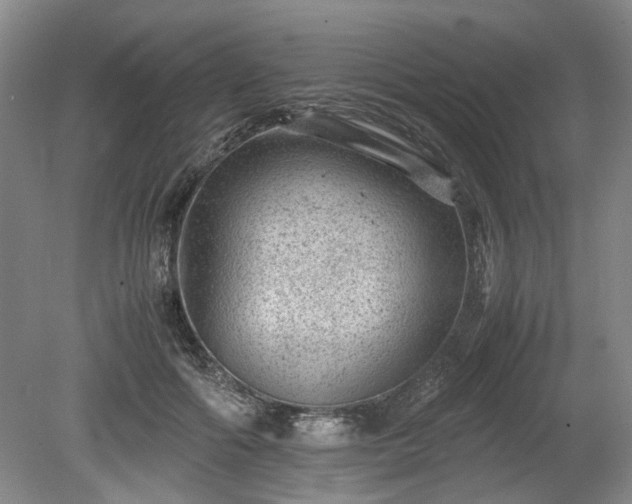 X0000078860602200611201315