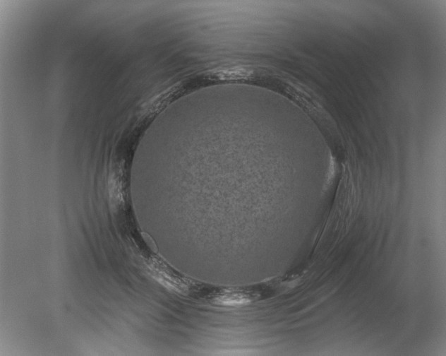 X0000078860604200611201315